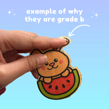 Load image into Gallery viewer, Grade B Mystery Bamboo Sticker Pack (of 5)